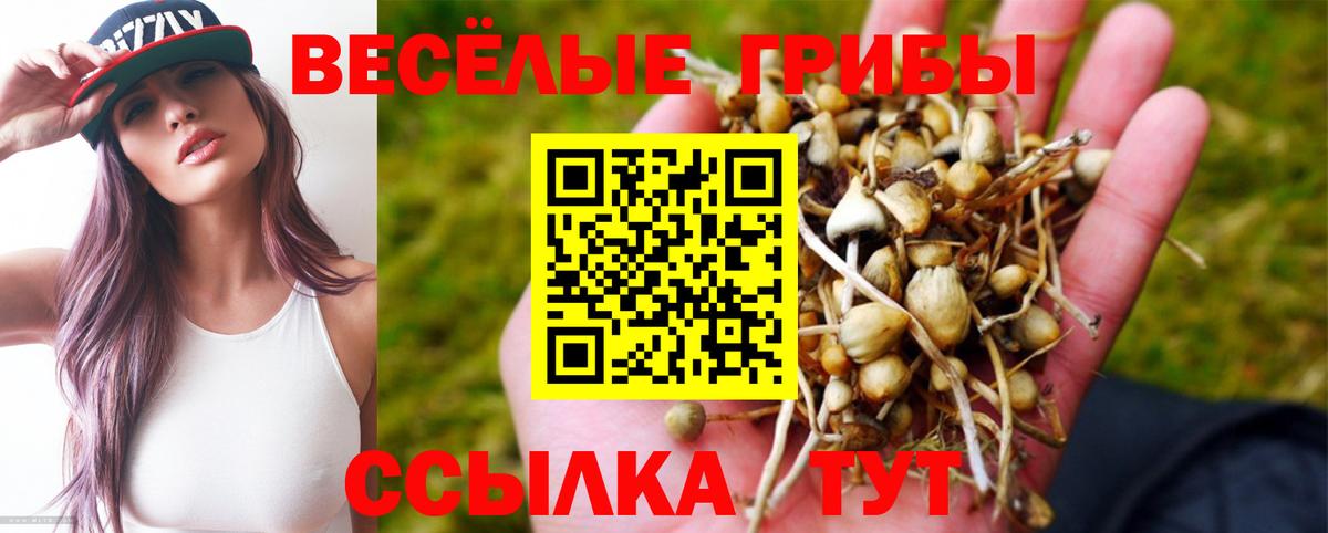 Галлюциногенные грибы MAGIC MUSHROOMS  Псилоцибиновые грибы Psilocybine cubensis  Вход с VPN  Егорьевск 