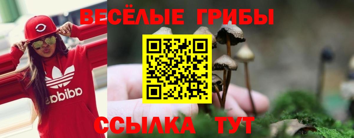 Галлюциногенные грибы Psilocybine cubensis Егорьевск